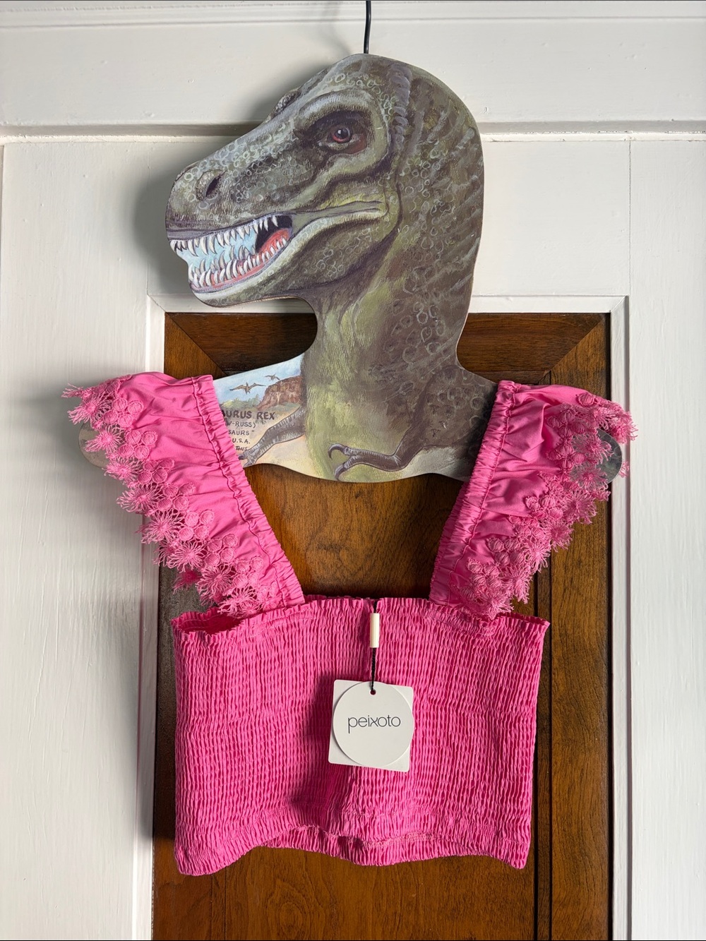Peixoto Pink Mariel Smocked Crop Top